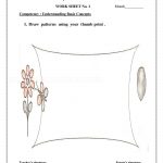 2nd grade maths worksheets Pattern22