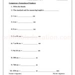 Grade 3 third worksheet for measurement 31